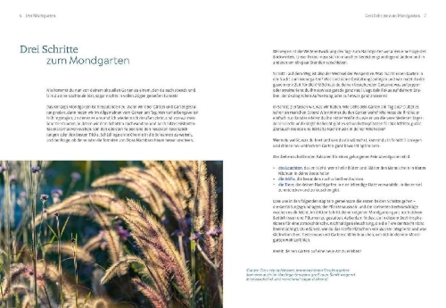 Buchcover und Innenansicht für das Buch: Der Nachtgarten