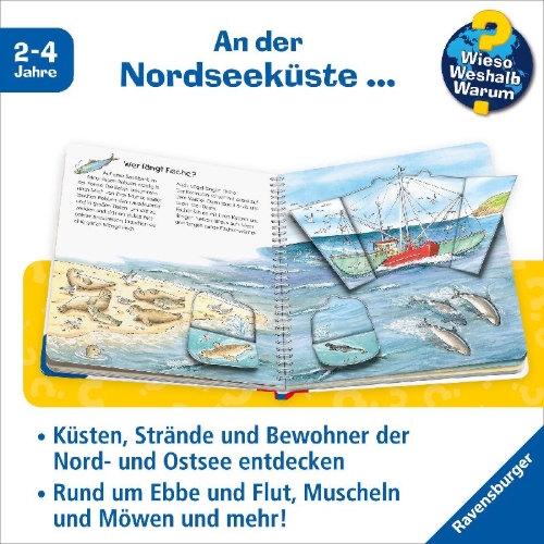 Buchcover und Innenansicht für das Buch: Wieso? Weshalb? Warum? junior, Band 17: Am Meer