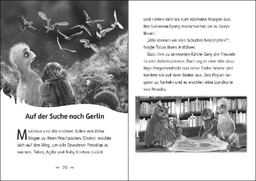 Buchcover und Innenansicht für das Buch: The Last Firehawk - The Shadow Returns