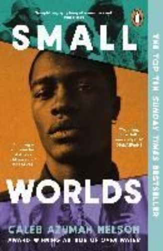 Buchcover und Innenansicht für das Buch: Small Worlds