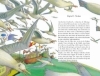 Buchcover und Innenansicht für das Buch: Historia de una gaviota y del gato que le enseñó a volar
