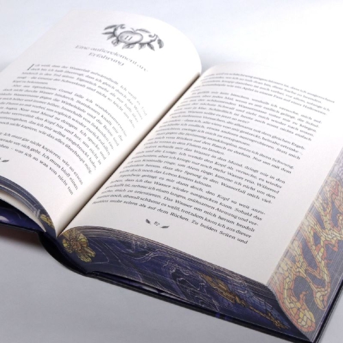 Buchcover und Innenansicht für das Buch: The Aftermyth #1