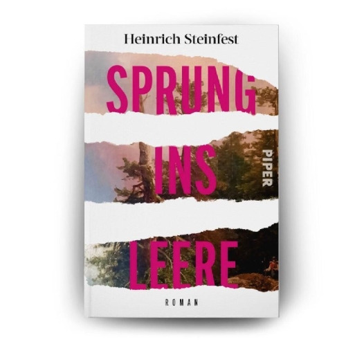 Buchcover und Innenansicht für das Buch: Sprung ins Leere