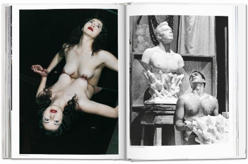 Buchcover und Innenansicht für das Buch: Helmut Newton