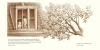 Buchcover und Innenansicht für das Buch: The Tree in the Courtyard. Looking Through Anne Frank's Window