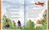 Buchcover und Innenansicht für das Buch: Der wilde Räuber Donnerpups (Erstlesebuch, Bd. 3)