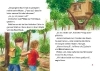 Buchcover und Innenansicht für das Buch: Das magische Baumhaus junior 9 - Das Geheimnis der Delfine