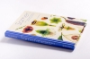 Buchcover und Innenansicht für das Buch: L'odyssée des graines