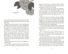 Buchcover und Innenansicht für das Buch: A Season for Scandal