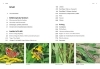 Buchcover und Innenansicht für das Buch: Das große BLV Handbuch Insekten