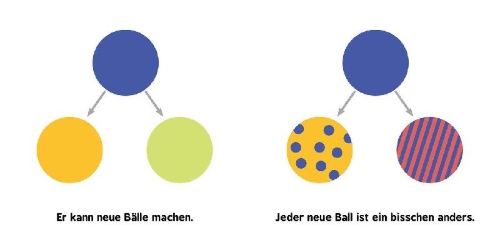 Buchcover und Innenansicht für das Buch: Baby University: Evolution for Babies (OT)