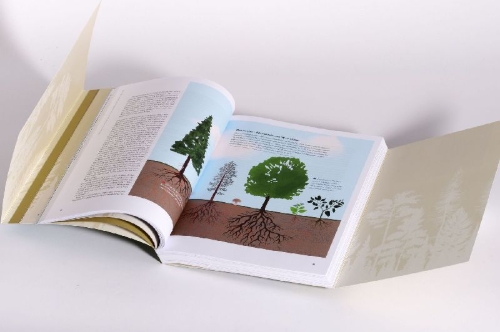 Buchcover und Innenansicht für das Buch: Waldwissen