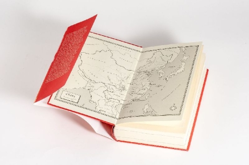 Buchcover und Innenansicht für das Buch: Fly, Wild Swans