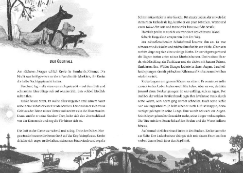 Buchcover und Innenansicht für das Buch: Banditensommer