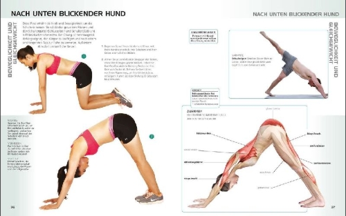 Buchcover und Innenansicht für das Buch: Die Anatomie des gerätelosen Workouts