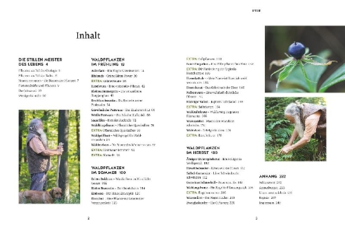 Buchcover und Innenansicht für das Buch: Meine Kräuter des Waldes