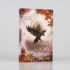 Buchcover und Innenansicht für das Buch: Ravenhall Academy 2: Erwachte Magie