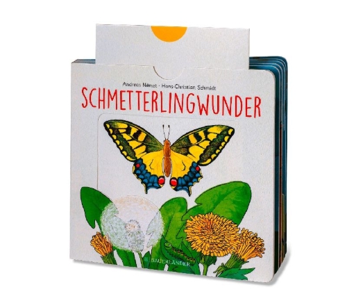 Buchcover und Innenansicht für das Buch: Schmetterlingwunder