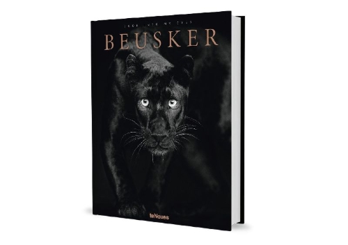 Buchcover und Innenansicht für das Buch: Beusker