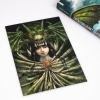 Buchcover und Innenansicht für das Buch: Dragon Hunt Tribe