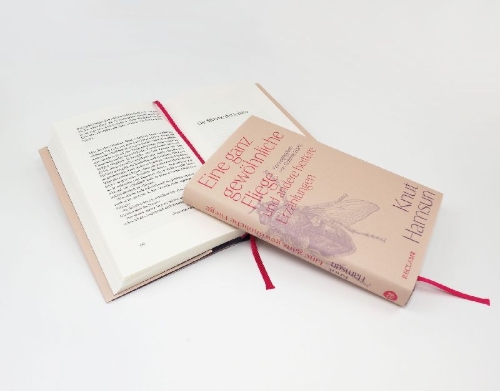 Buchcover und Innenansicht für das Buch: Eine ganz gewöhnliche Fliege und andere heitere Erzählungen