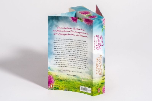 Buchcover und Innenansicht für das Buch: Die Geheimnisse von Rosewell Castle