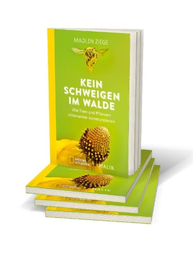Buchcover und Innenansicht für das Buch: Kein Schweigen im Walde