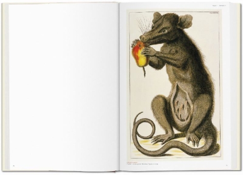 Buchcover und Innenansicht für das Buch: Seba. Cabinet of Natural Curiosities