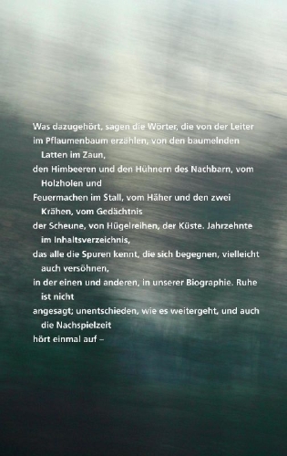 Buchcover und Innenansicht für das Buch: Nachspielzeit