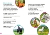 Buchcover und Innenansicht für das Buch: WAS IST WAS Erstes Lesen. Pferde und Ponys