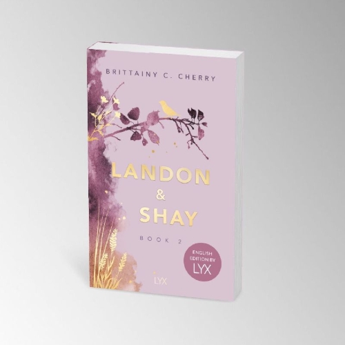 Buchcover und Innenansicht für das Buch: Landon&Shay 02