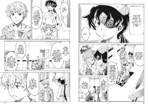 Buchcover und Innenansicht für das Buch: Mirai Nikki