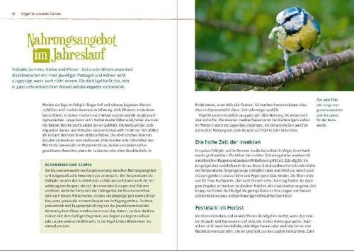 Buchcover und Innenansicht für das Buch: Vögel füttern im Garten