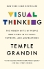 Buchcover und Innenansicht für das Buch: Visual Thinking