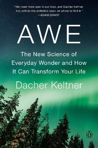 Buchcover und Innenansicht für das Buch: Awe