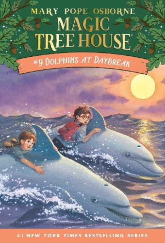 Buchcover und Innenansicht für das Buch: Dolphins at Daybreak