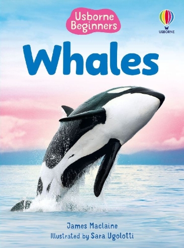 Buchcover und Innenansicht für das Buch: Beginners Whales