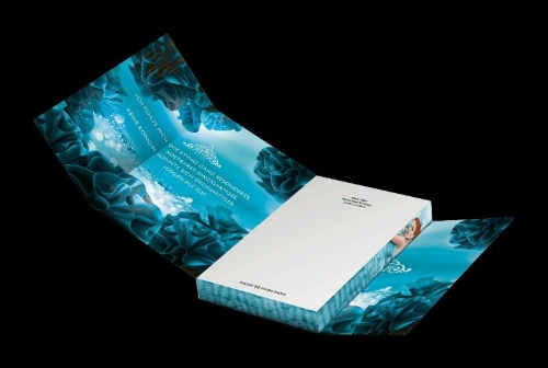Buchcover und Innenansicht für das Buch: The Selection