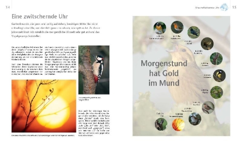 Buchcover und Innenansicht für das Buch: Vögel zu Gast im Garten - Heimische Vögel beobachten, bestimmen, schützen.