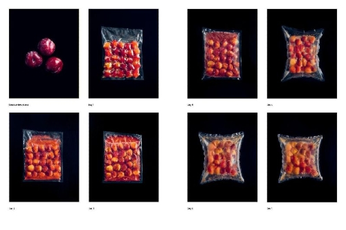 Buchcover und Innenansicht für das Buch: Foundations of Flavor: The Noma Guide to Fermentation