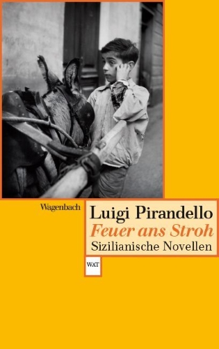 Buchcover und Innenansicht für das Buch: Feuer ans Stroh