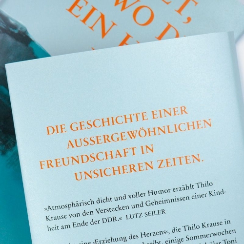 Buchcover und Innenansicht für das Buch: Jetzt, wo du ein Held bist