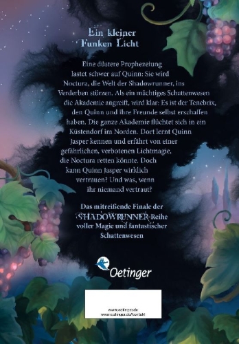 Buchcover und Innenansicht für das Buch: Shadowrunner 2. Die Magie von Licht und Schatten