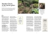 Buchcover und Innenansicht für das Buch: Garten - einfach günstig