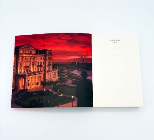 Buchcover und Innenansicht für das Buch: Düster