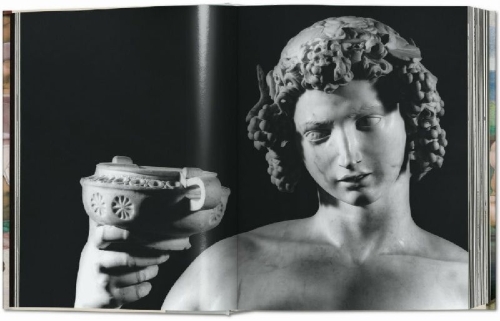 Buchcover und Innenansicht für das Buch: Michelangelo