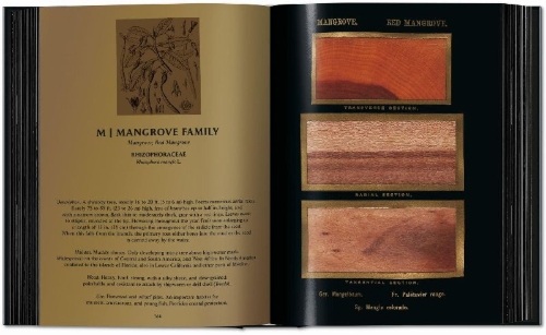 Buchcover und Innenansicht für das Buch: Romeyn B. Hough