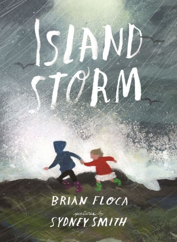 Buchcover und Innenansicht für das Buch: Island Storm