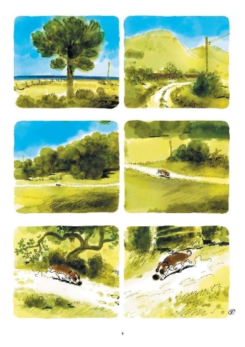 Buchcover und Innenansicht für das Buch: Mein Freund Toby