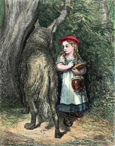 Buchcover und Innenansicht für das Buch: Bildband Wölfe - Begegnungen in freier Wildbahn: Deutschlands wilde Wölfe kehren zurück - Ein einmaliges Erlebnis von Wildnis und Natur mit 190 außergewöhnlichen Fotos